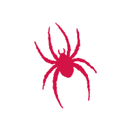 Richmond Spiders team logo